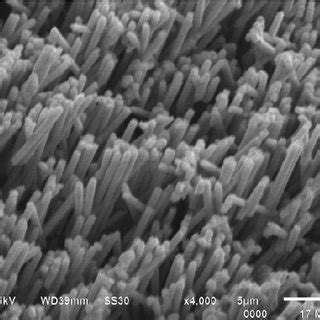 Space Based Material Synthesis