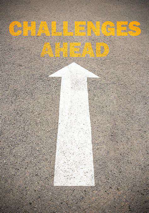TheRoadAhead:ChallengesandOpportunities